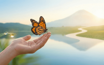 Meine Praxis-Philosophie